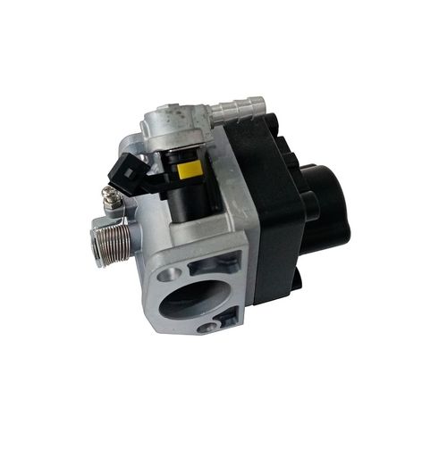 Блок управления дроссельной заслонкой H460i/170310045-0001