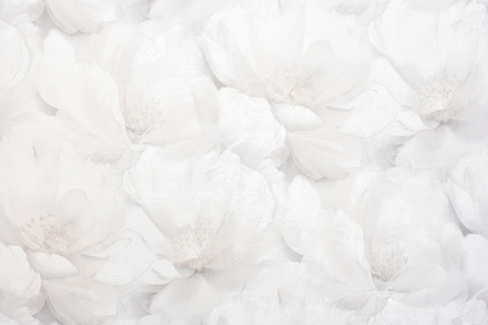 Ateliero 1,06 м 287021 Elena