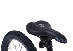 Maxiscoo "7BIKE" 24'' M300 (2024)