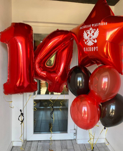 Воздушные шары на 14 лет №1336