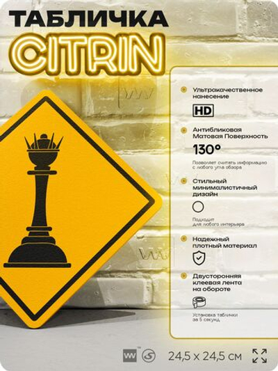 Табличка декоративная "Ферзь" на дверь и стену, спортивная, информационная, декоративный знак, 24,5х24,5 см, пластиковая, Айдентика Технолоджи