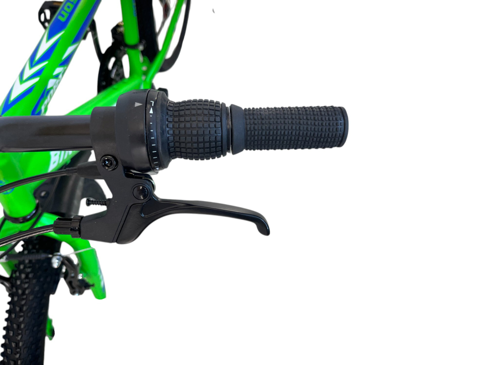 Велосипед Bike Dragon 24" 21скор (ст.рама,SunRun, Жесткая вилка, тормоз V-brake) BD-1-24-2 зеленый