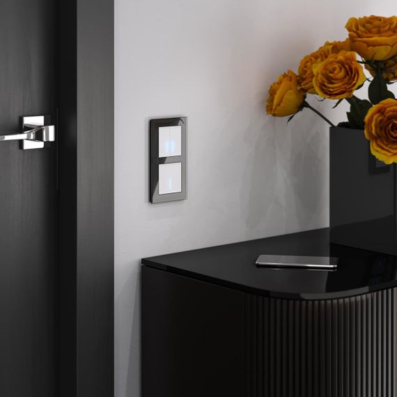 Сенсорный выключатель одноклавишный с функцией Wi-Fi Werkel белый W4510601 4690389171161