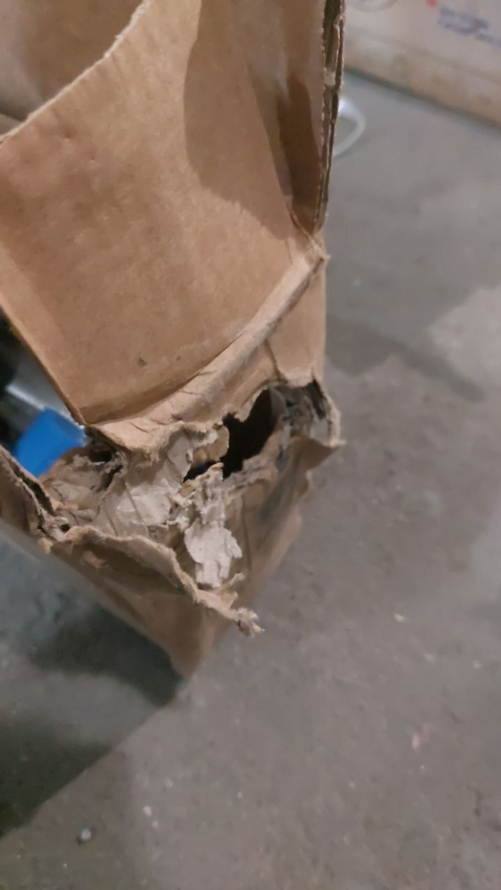 TF3 60 (уценка 4 (1)