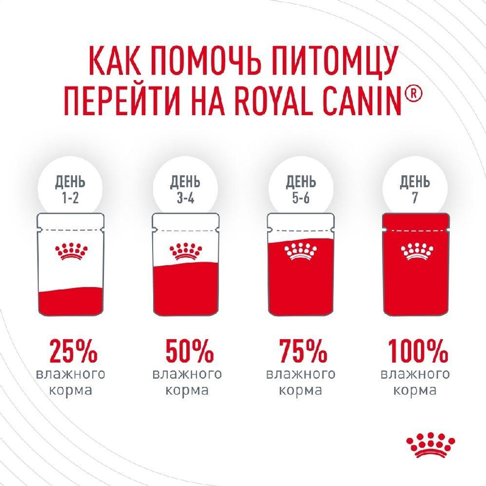 Тонкие ломтики в соусе, 85г Digestive для здоровья пищеварительной системы Royal Canin