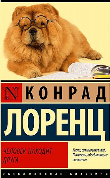 Человек находит друга