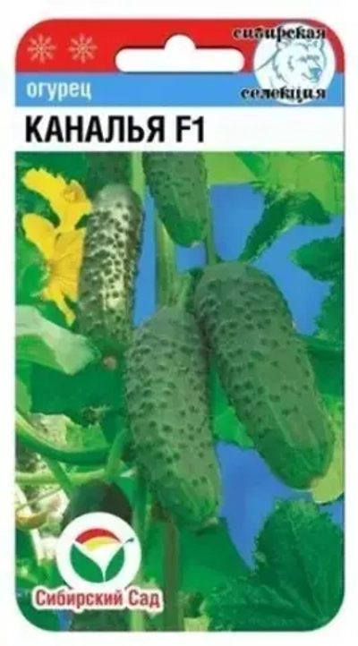 Огурец Каналья F1 7шт (Сиб сад)