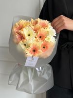 Букет из гербер в кремовом оттенке 15 шт