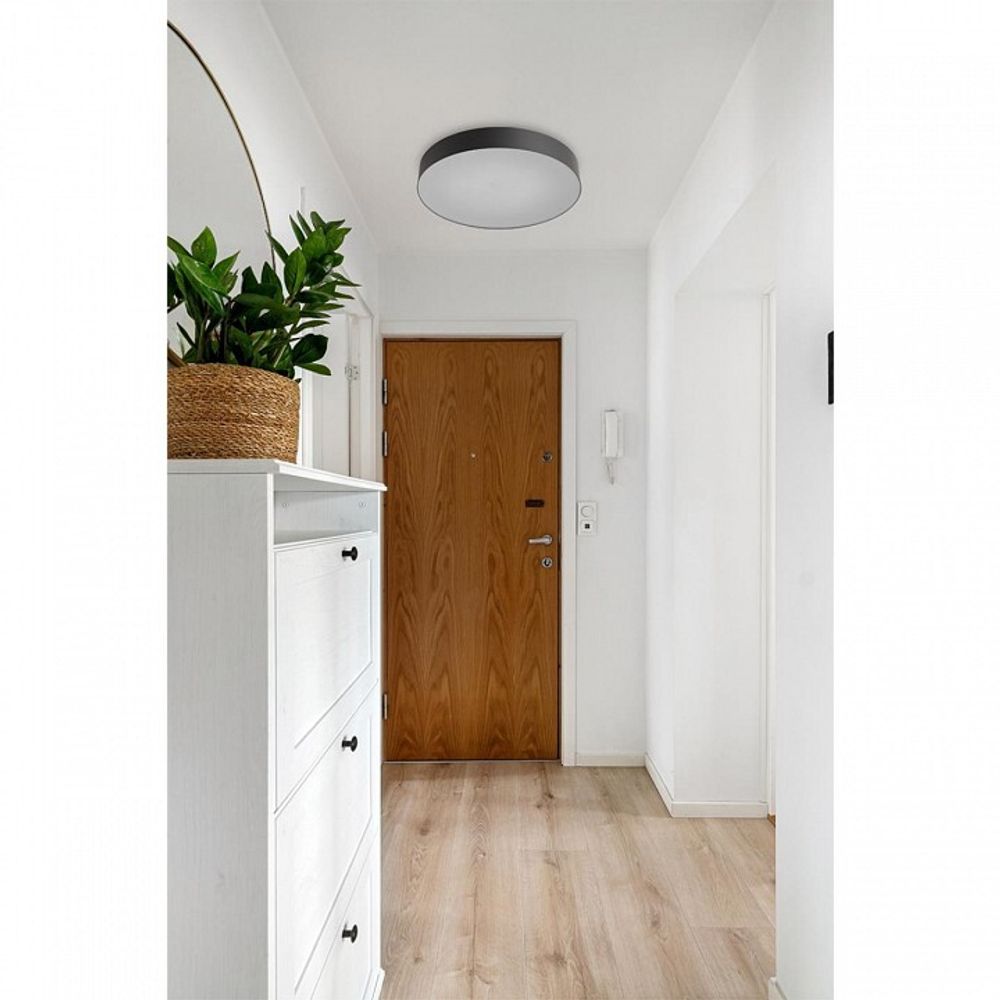 Накладной светильник Sonex Optima 7780/EL