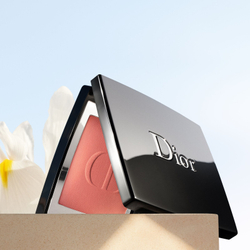 Dior blush 601 hologlam sales