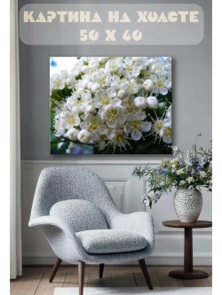 Картина на стену 40 X 50 Белые цветы