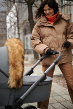 Детская коляска Anex l/type 3 в 1 Frost