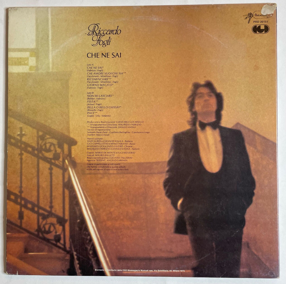 Винтажная виниловая пластинка LP Riccardo Fogli Che Ne Sai (Italy 1979) (EX)