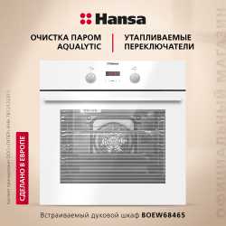 Духовой шкаф Hansa BOEW68465