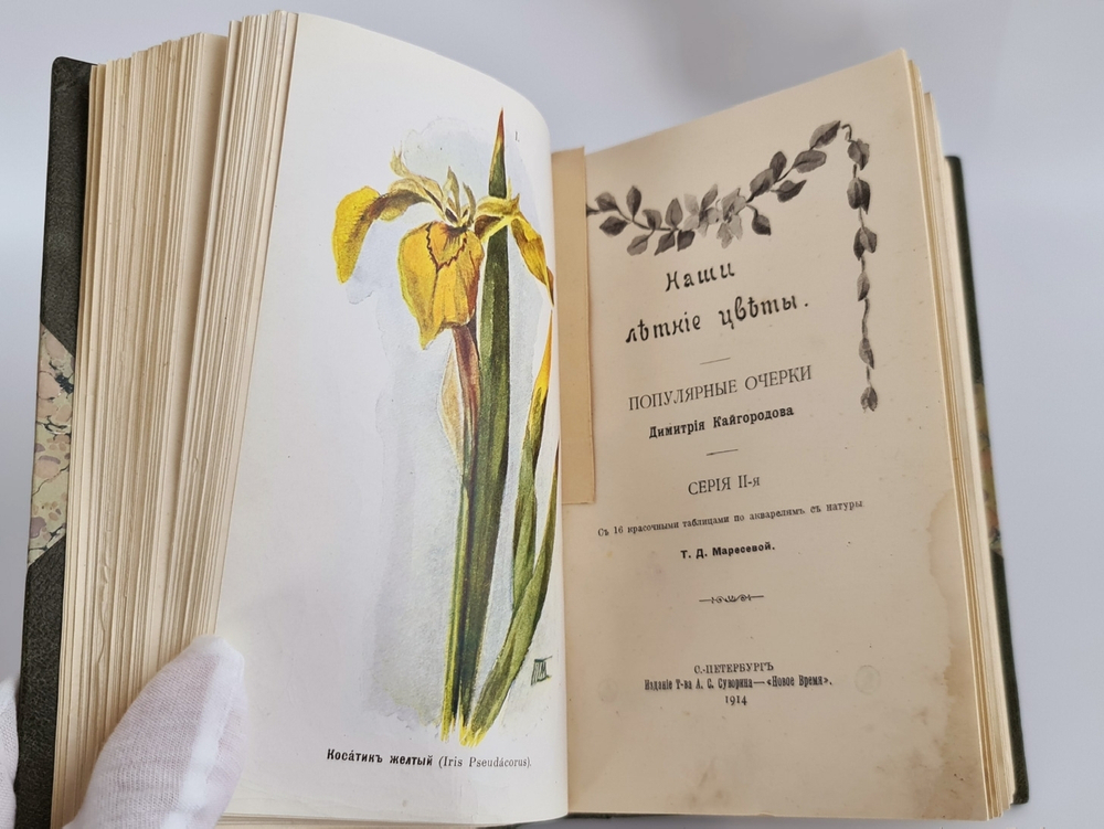 "Наши весенние цветы. Серия 1-3. Наши летние цветы. Серия 1-2". Д.Н.Кайгородов. 1915 г.
