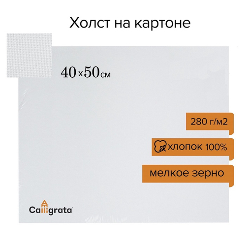Холст на картоне Calligrata, 40×50 см