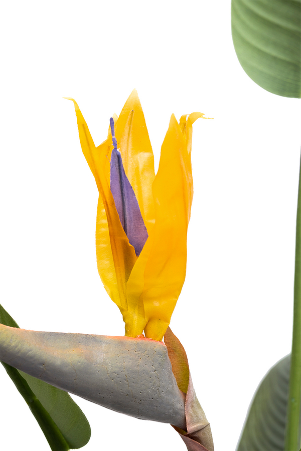 Куст стрелиции в горшке 153см Garda Decor 29BJ-925-11