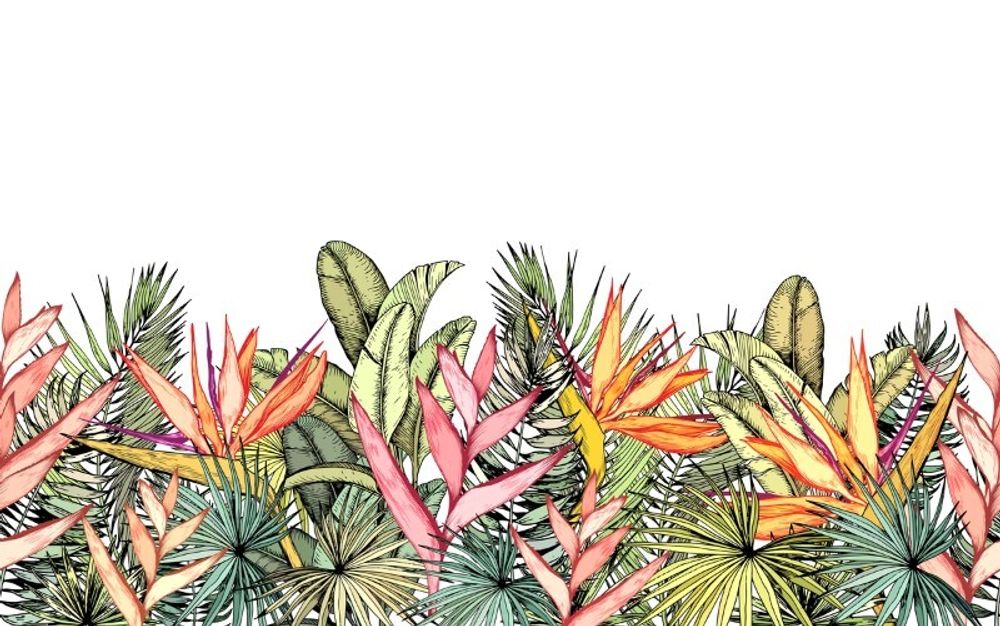 Фотообои и четыре фона (один другой партии)