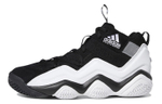 Кроссовки Adidas Top Ten 2000