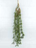 Ампельный аспарагус Теос