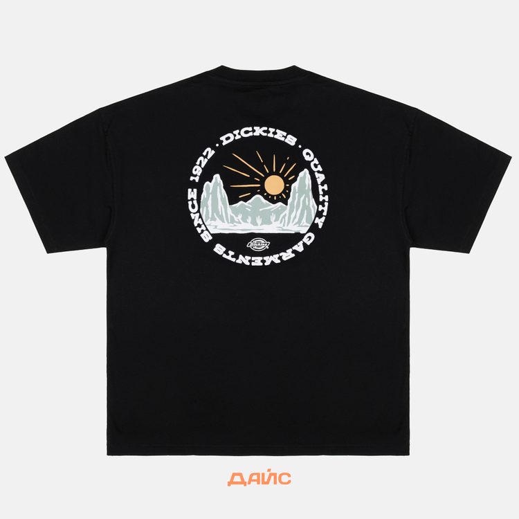 Футболка мужская Dickies Outdoor артикул:DK0A4Z8PBLK1 - купить в магазине Дайс