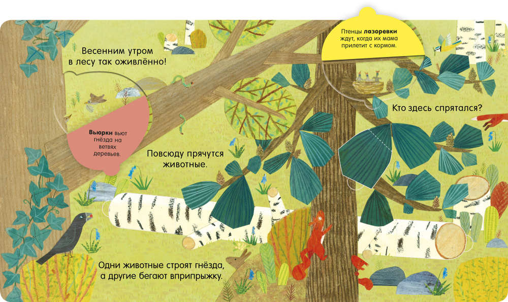 Книжка с окошками. В лесу