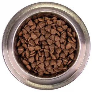 Уценка! Повр.упак./ Сухой корм Monge Dog Speciality Line Monoprotein для взрослых собак всех пород, из лосося с рисом