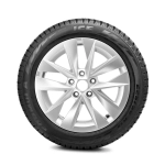 Зимняя шина шипованная Formula Ice (225/55 R19 103T)