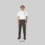  Брюки мужские Dickies Skateboarding Double Knee Pants артикул:WPSK96OG - купить в магазине Дайс