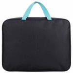 Школьный набор BRAUBERG: папка А4, мешок для обуви 42х33 см, пенал-косметичка 20х10 см, "Black cat", 271075