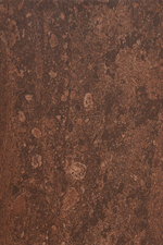 Селена кор низ 02 200х300 (1-й сорт)