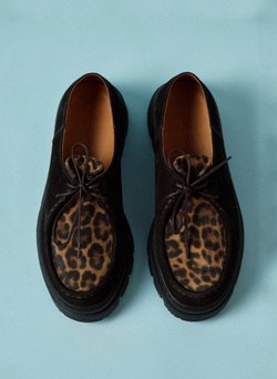 MocToe Brown Leo
