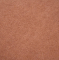 Микровелюр Боска 08