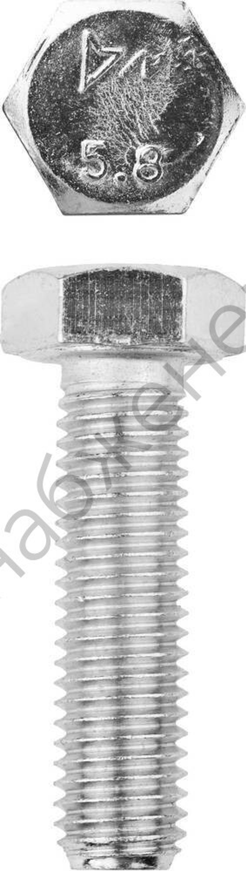 ЗУБР ГОСТ 7798-70 кл. пр. 5.8, M12 x 45 мм, болт оцинкованный, 5 кг (303080-12-045)