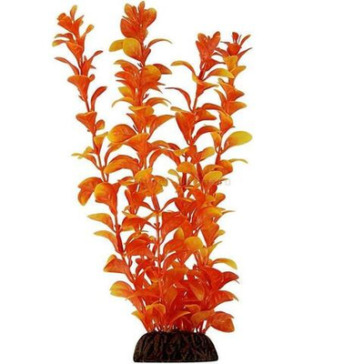 Растение "Людвигия", оранжевое, 100мм, Laguna