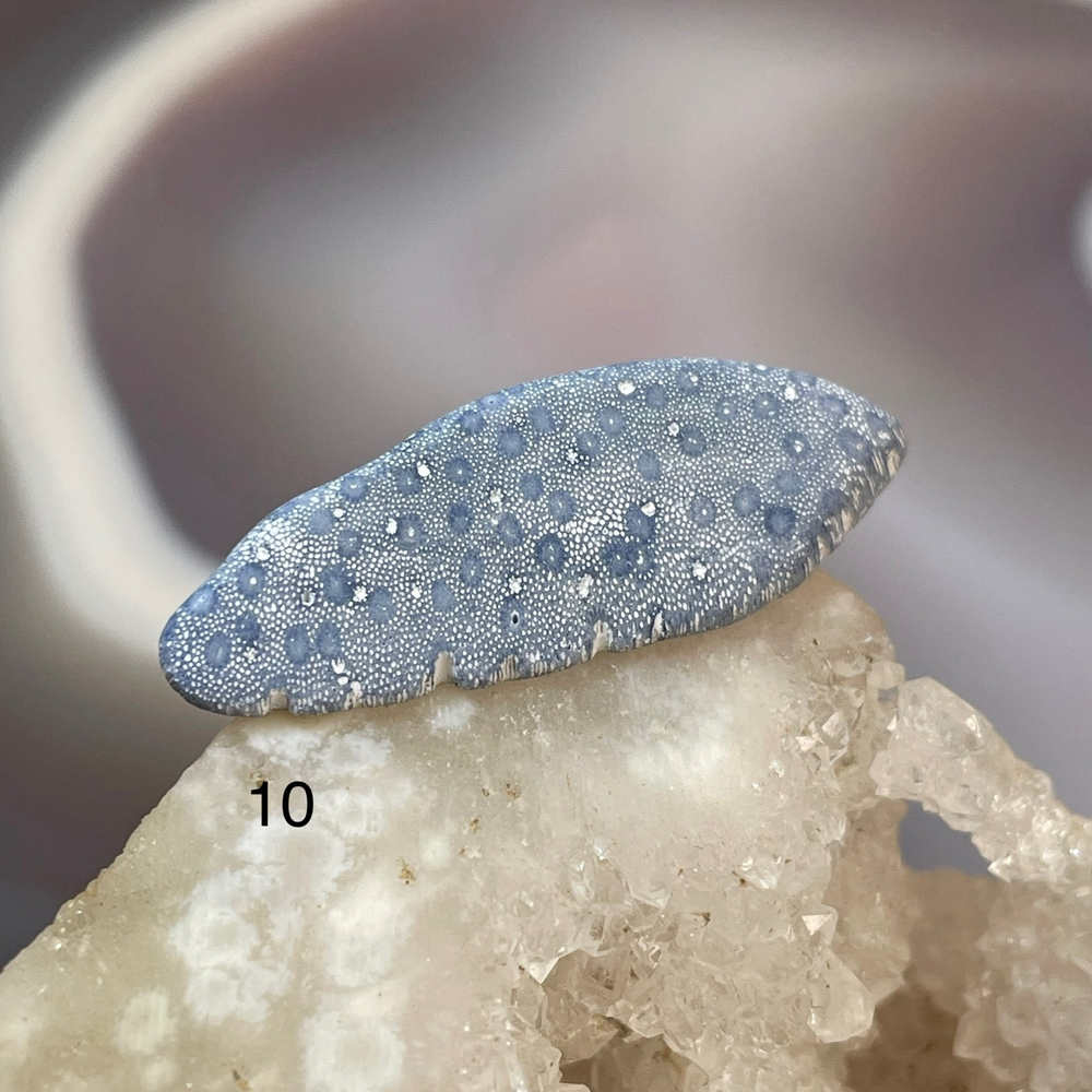 62223 Коралл голубой Галтовка 20-34мм--10