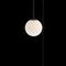 Подвесной светильник Loft IT Signal 10029PS Black