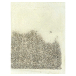 21st Century, травяной чай для похудения, апельсин и специи, без кофеина, 24 чайных пакетика, 48 г (1,7 унции)