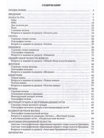 Анатомия пищеварительной системы взрослого человека