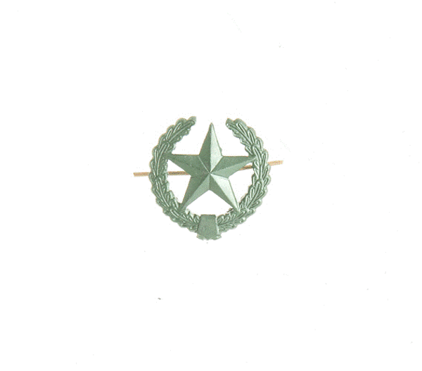 Эмблема ОВ (защитная)