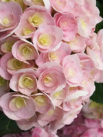 You & Me Love /Ю Энд Ми Лав