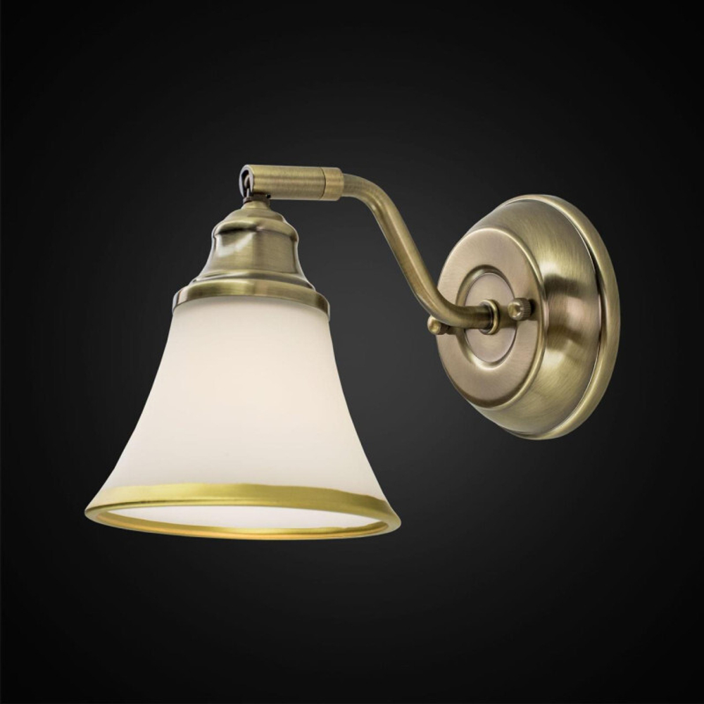 Спот Citilux CL511513