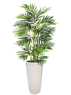 Искусственная Пальма Рапис 150 см в высоком круглом белом кашпо