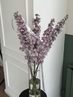 Дельфиниум сиреневый