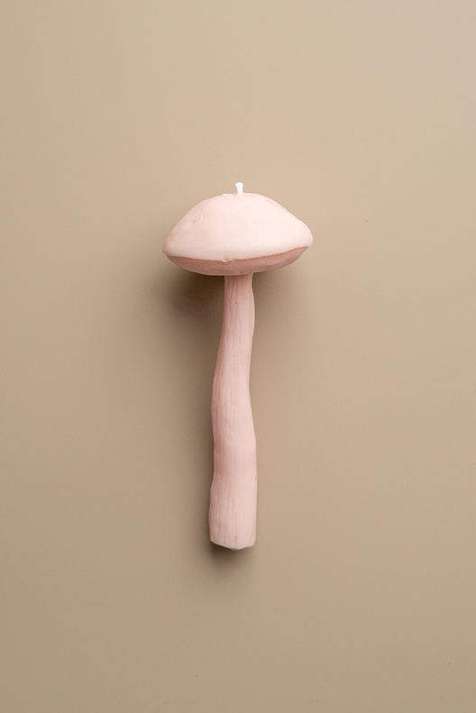 Свеча Гриб Подберезовик / Unification Love