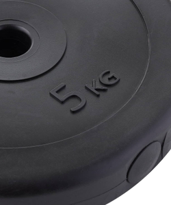 Диск пластиковый BB-203 d=26 мм, черный, 5 кг