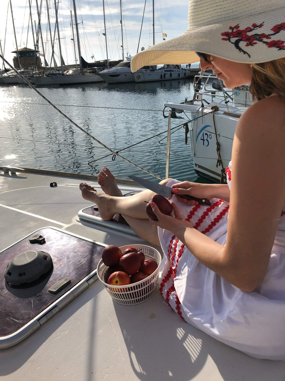 🏆Два Кухонных ножа Alexander M AUS-8 Red G10