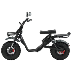 Электроскутер Skyboard Kamchatka 3000W