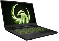 Ноутбук 17.3" MSI Alpha 17 B5EEK-013RU (9S7-17LL12-013)