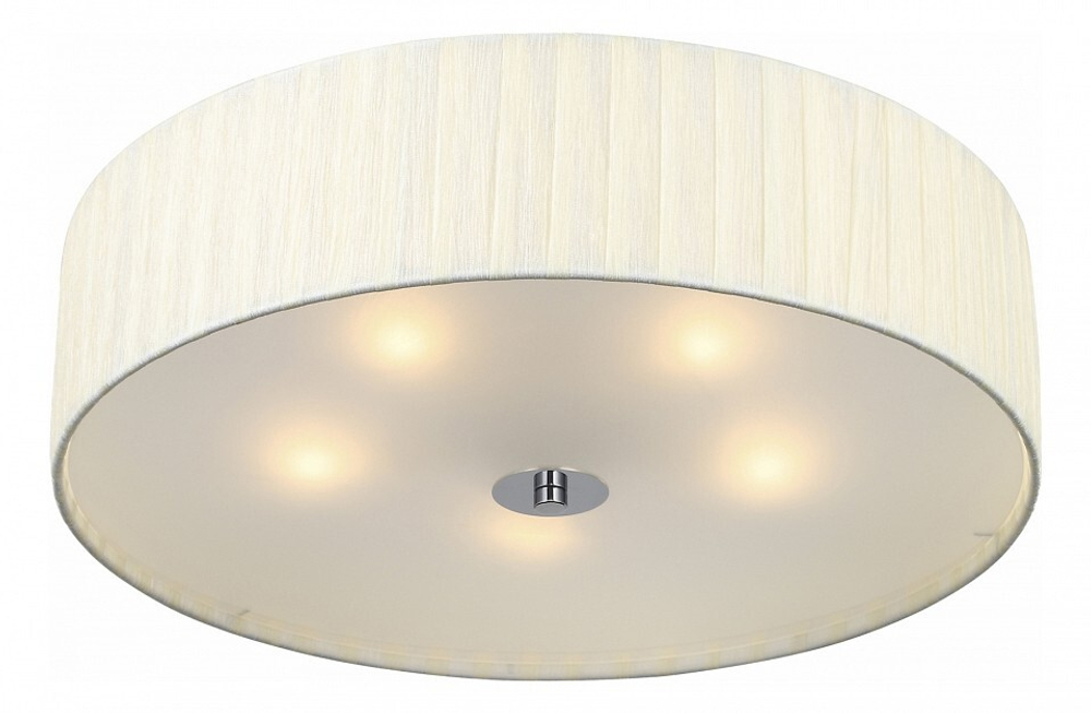 Накладной светильник ST-Luce SL357.502.05